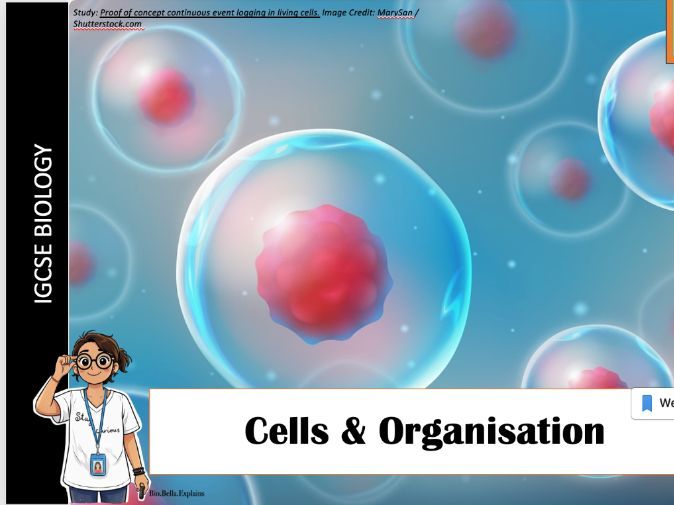 Cells and Organisation IGCSE