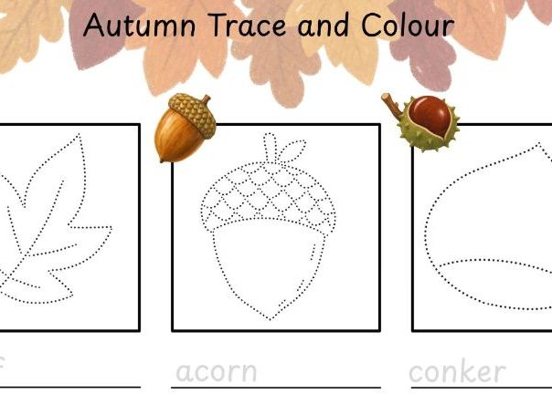 Autumn Trace and Colour Fine Motor and Pencil Control EYFS Early Writing