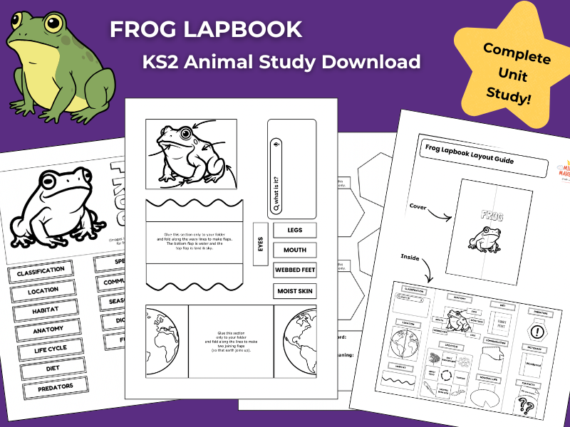 Frog KS2 Animal Science Activities | Lapbook