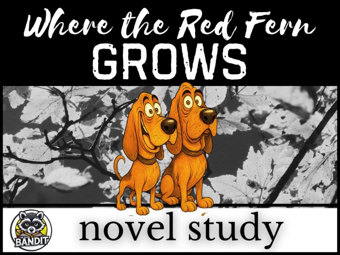 WHERE THE RED FERN GROWS Novel Study