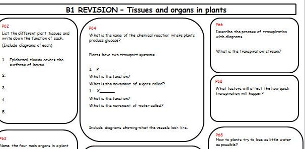 NEW SPEC AQA 2016 revision/summary sheet on tissues and organs in plants.