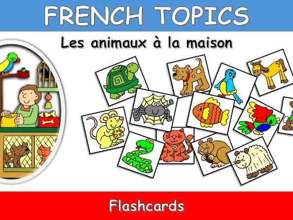 FRENCH TOPICS: PETS-LES ANIMAUX A LA MAISON-FLASHCARDS