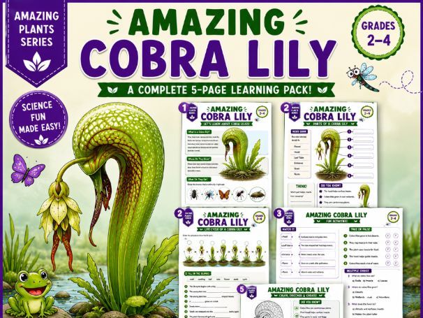 Amazing Cobra Lily | Carnivorous Plant Worksheets | Activities Grade 2-4