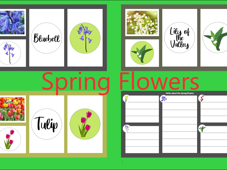 Spring Flowers KS1