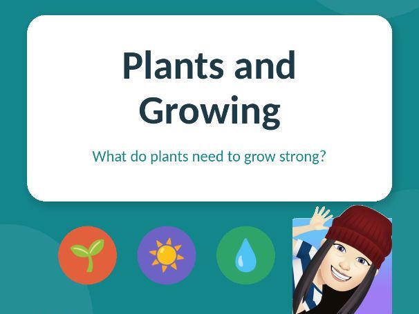 Plants and Growing - What do plants need to grow