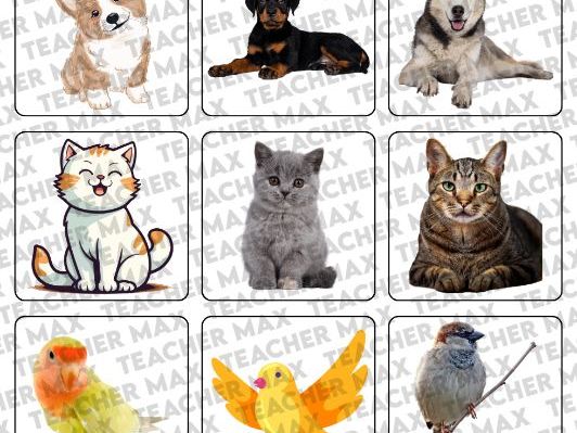 DTT & VB-MAPP Animal Vocabulary Cards