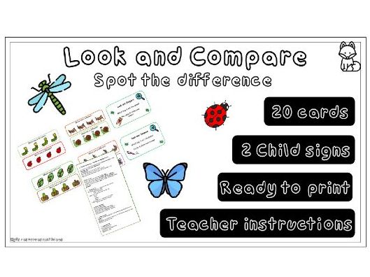 Bug, Odd One Out, Peg Activity