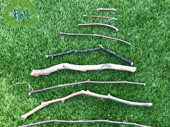 Year 2 Outdoor Maths: Estimate & Measure