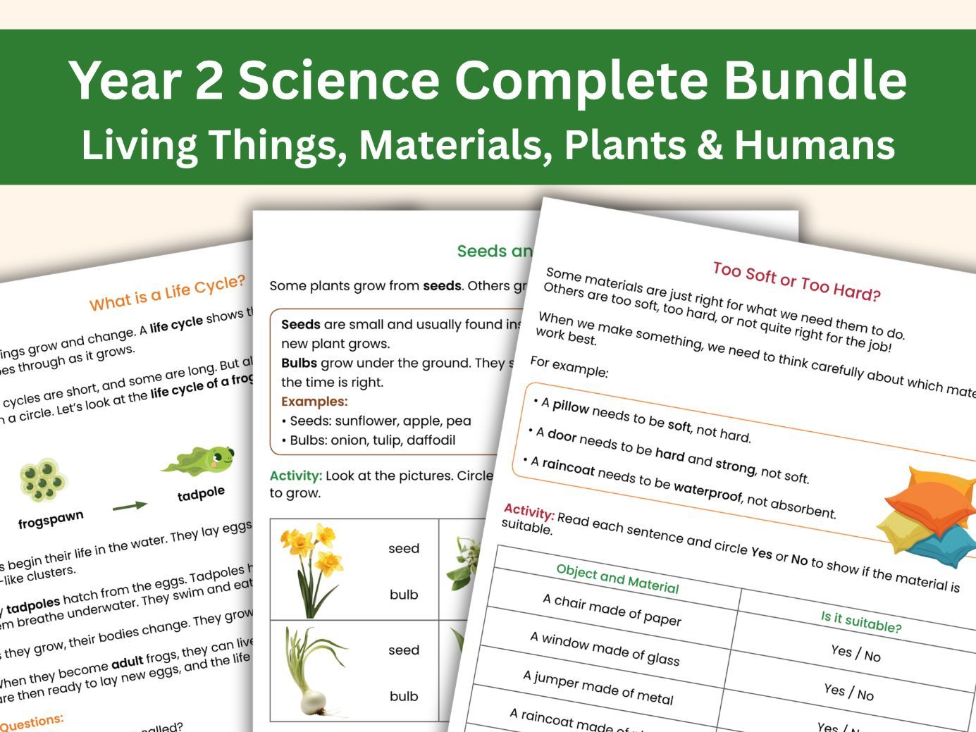 Year 2 Science Complete Workbook Bundle | Living Things, Materials, Plants & Humans | KS1 National Curriculum