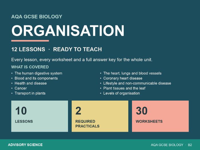 AQA GCSE Biology B2 Organisation Full Unit