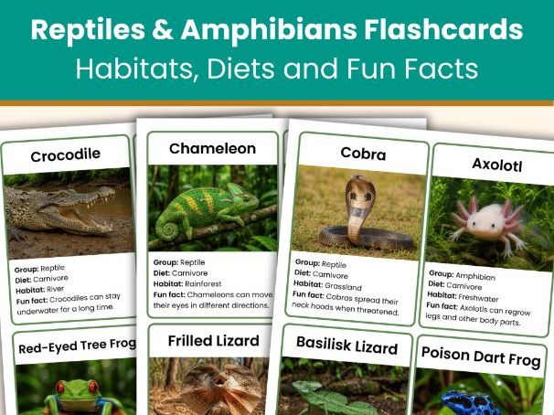Reptiles and Amphibians Flashcards | 36 Animal Classification Cards