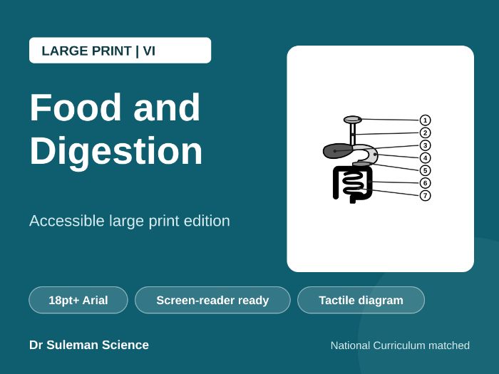 Food and Digestion Large Print VI KS3