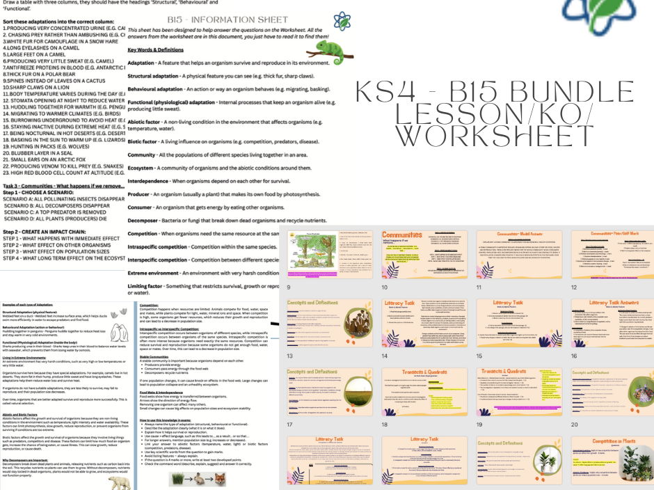 Paper 2/Unit B15 Bundle/Lesson/KO/Worksheet/Differentiated/AQA/Biology/Combined Science/LA/HA/SEND