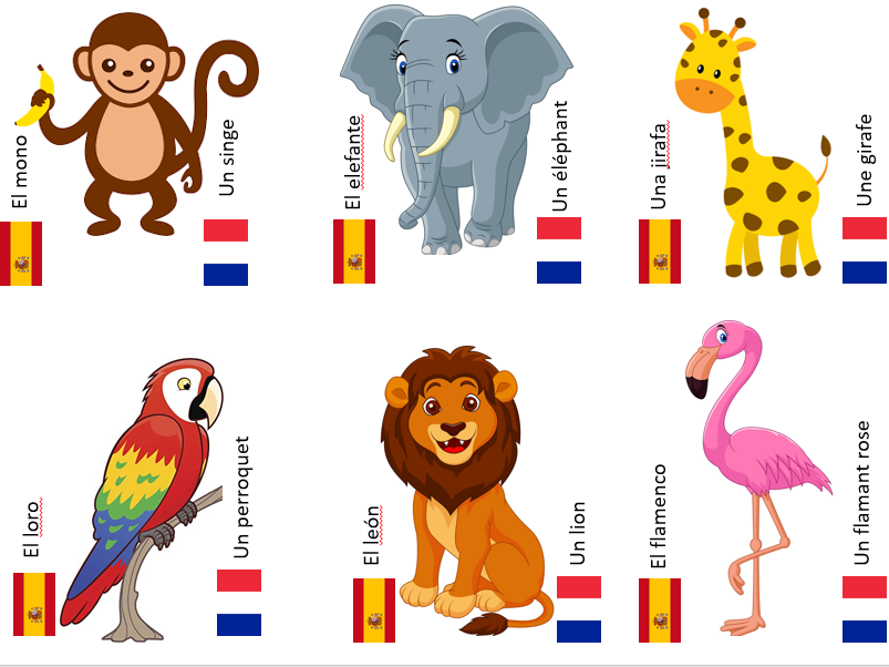 French and Spanish animal sorting cards