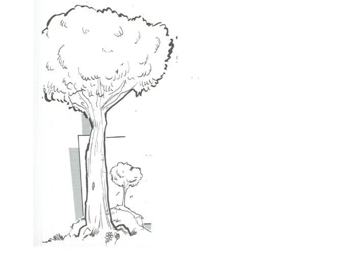 A really amazing tree