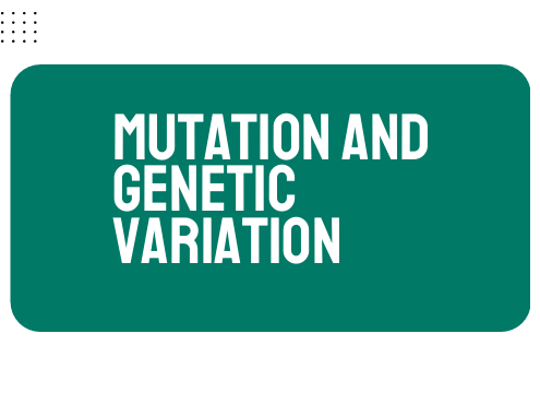 AP Biology Unit 6: Mutation