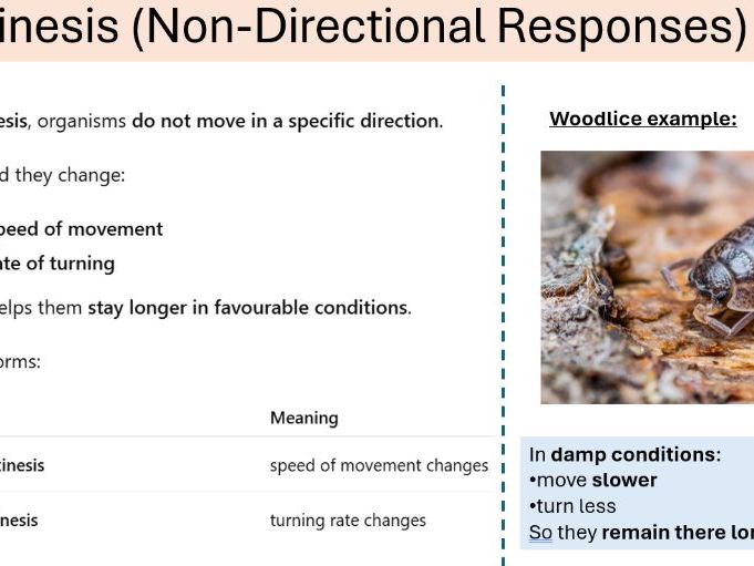 Taxis and Kinesis Required Practical 10