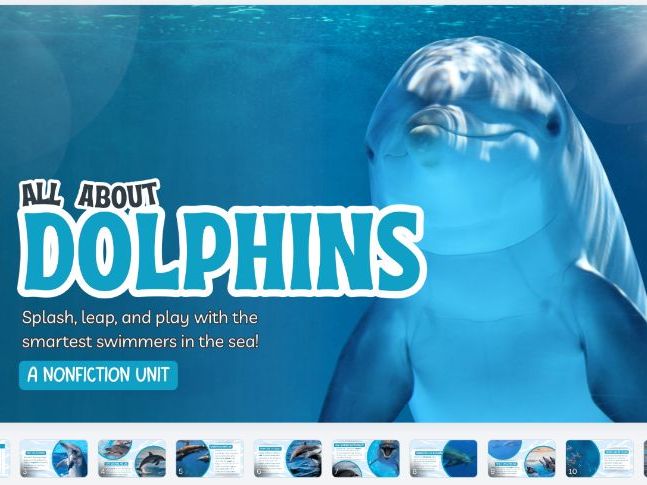 All About Dolphins Comprehension Worksheet (SEND Friendly) | KS1 Reading Activity | Ocean Animals