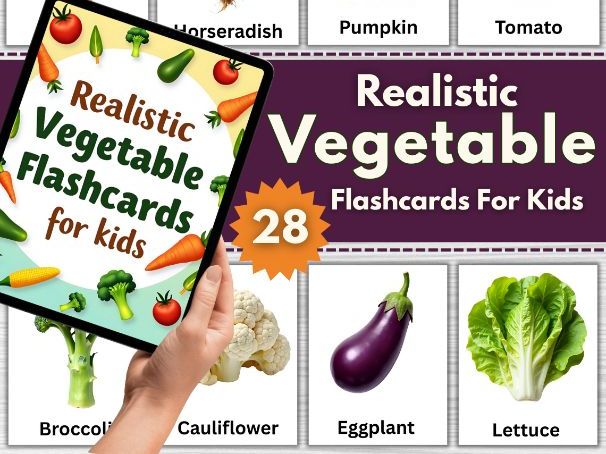 Realistic Vegetable Flashcards Gift For Kids – 28 Montessori-Inspired Cards