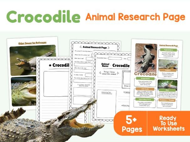 Crocodile Research Worksheets | Reptiles and Wetland Animals