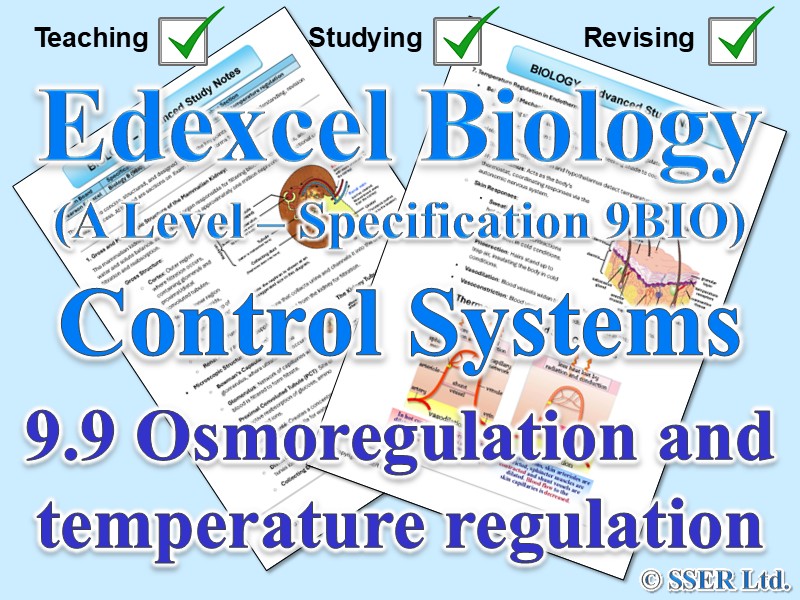 BIOA_EDX Topic Notes: 9.9 Osmoregulation and temperature regulation