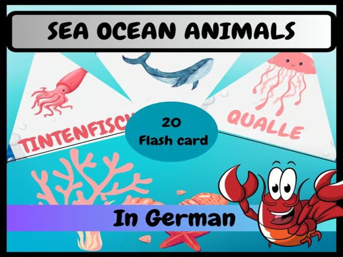 Beginner Ocean Animals Flashcards. Printable Posters for kids In German