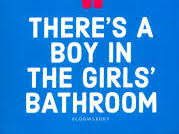WAGOLL - 2 diary entries based on The Boy in the Girl's Bathroom