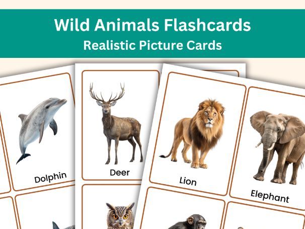 Wild Animals Flashcards – 40 Realistic Picture Cards