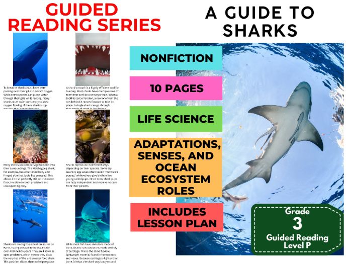 Guided Reading Level P - A Guide to Sharks (with Lesson Plan)