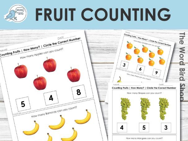 Fruit Counting Worksheets Real Photo Fruits Preschool and Special Education