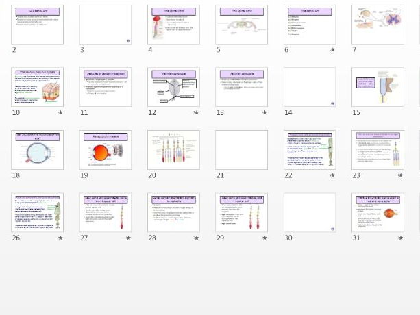 Receptors AQA A Level - Pacinian Corpuscle and Eye