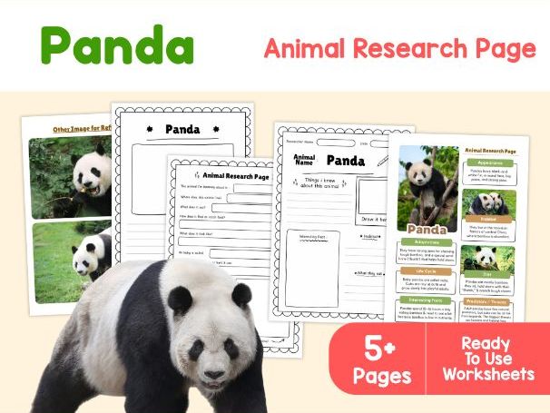 Panda Animal Research Project | Science Worksheets for Kids