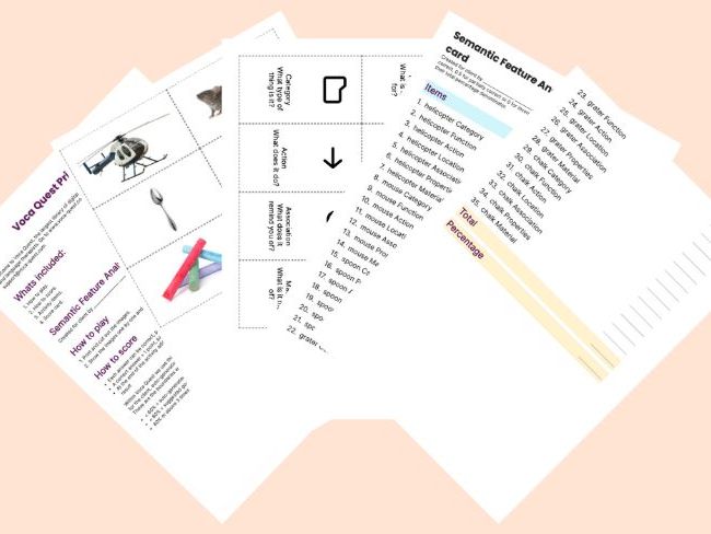 Semantic Feature Analysis Set 2 - Voca Quest Printable