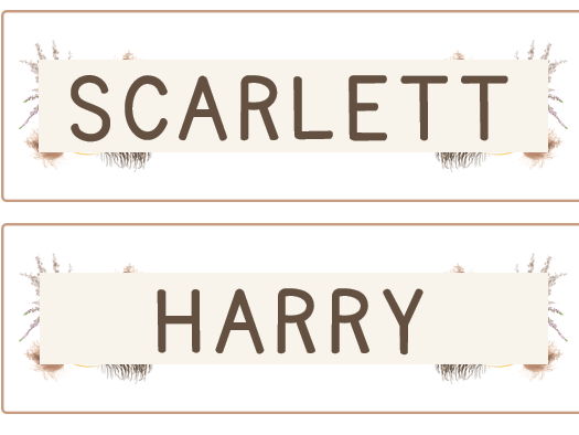 Neutral Boho Subject Labels | Editable Classroom Subject Display Labels | PowerPoint Resource