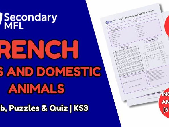 KS3 French Activity Pack: Pets and Domestic Animals
