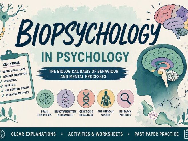 AQA Biopsychology Neurons