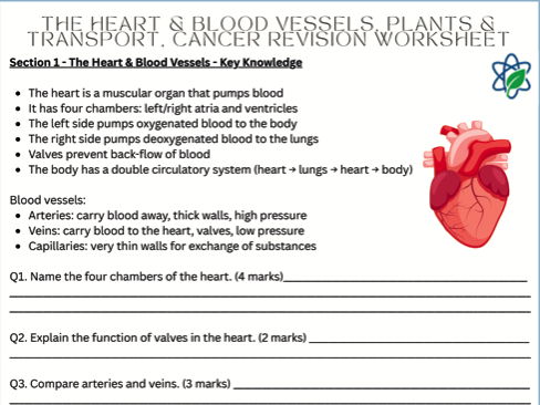 Paper 1/Heart & Blood Vessels, Plants & Transport, Cancer Revision/Worksheet/Biology/AQA/Science