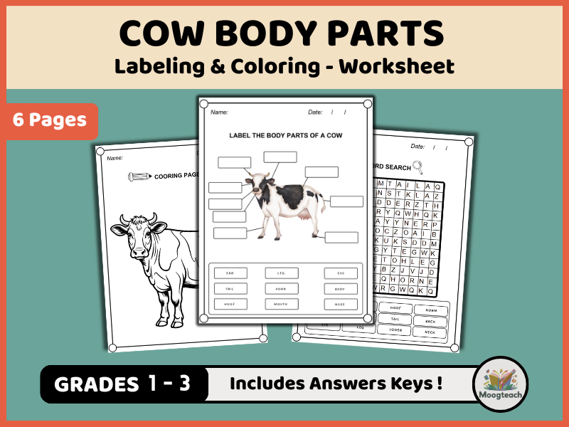 Cow Body Parts Worksheet Pack | Labeling, Coloring & Word Search (K-2 Farm Animal Vocabulary PDF)