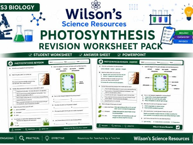 KS3/ KS4 Photosynthesis Revision Worksheet & Answers