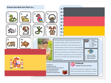 Pets (German & Spanish) - Complete Unit with Assessment & Mark Scheme (also suitable for cover)
