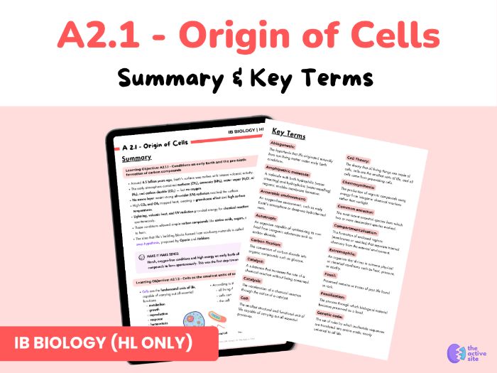 IB Biology HL – Topic A2.1: Origin of Cells | Summary & Key Terms Sheet