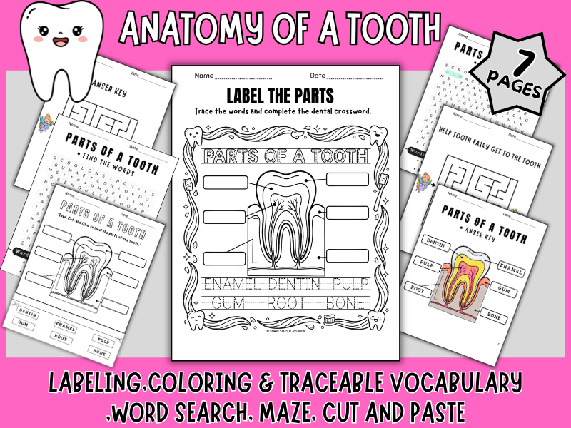 Parts of a Tooth: Labeling, Traceable Vocabulary, Word Search & Maze Pack