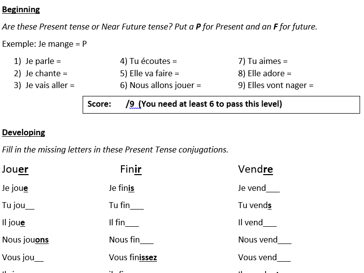 French Present and Near Future Tense Revision Worksheet