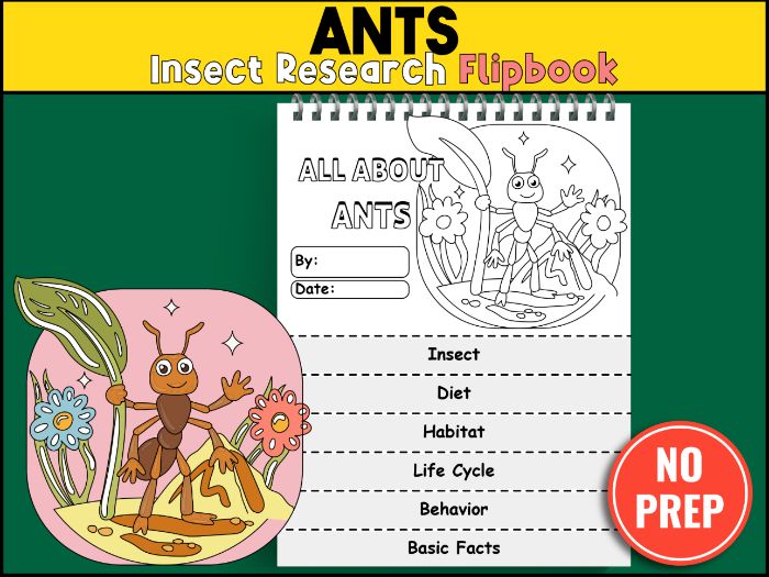Ants Insect Research Flipbook | Bugs, Life Cycle Report Activity