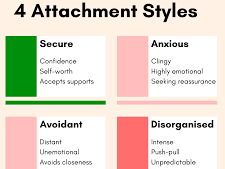 Attachment Knowledge Organiser