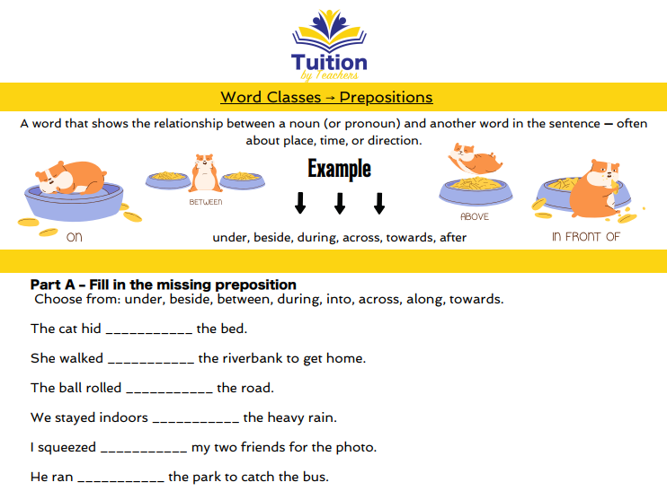 5. 11+ English -Reading Comprehension Inference & Retrieval; Grammar: Word Classes