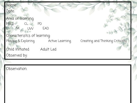 EYFS Observation Sheet
