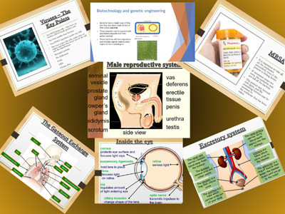 IGCSE Biology Lessons (Whole Syllabus)