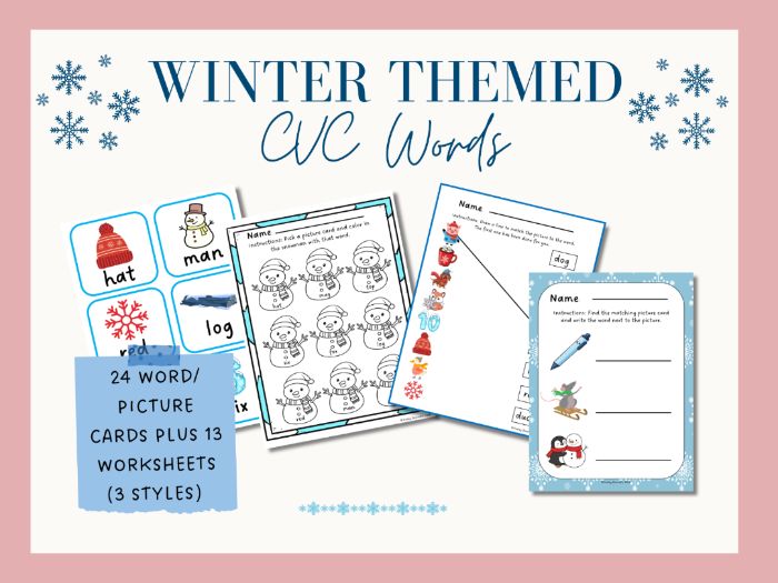 Winter Themed CVC Word Cards Reading Writing Matching