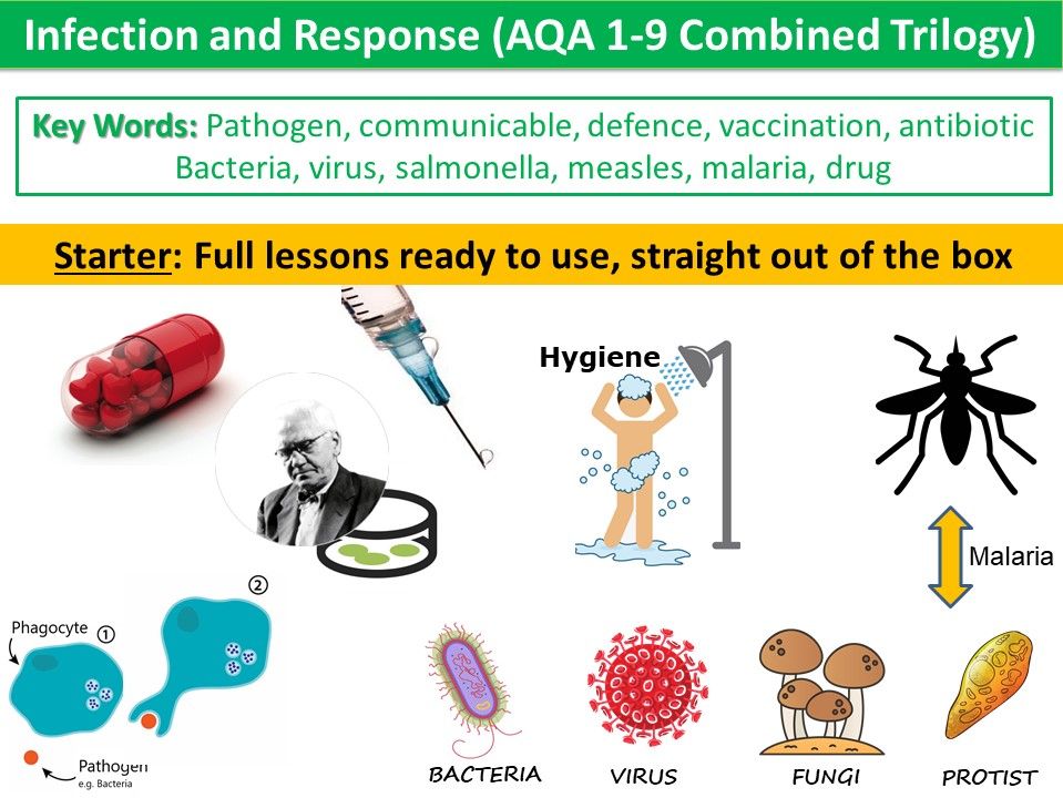 secondary-biological-molecules-resources